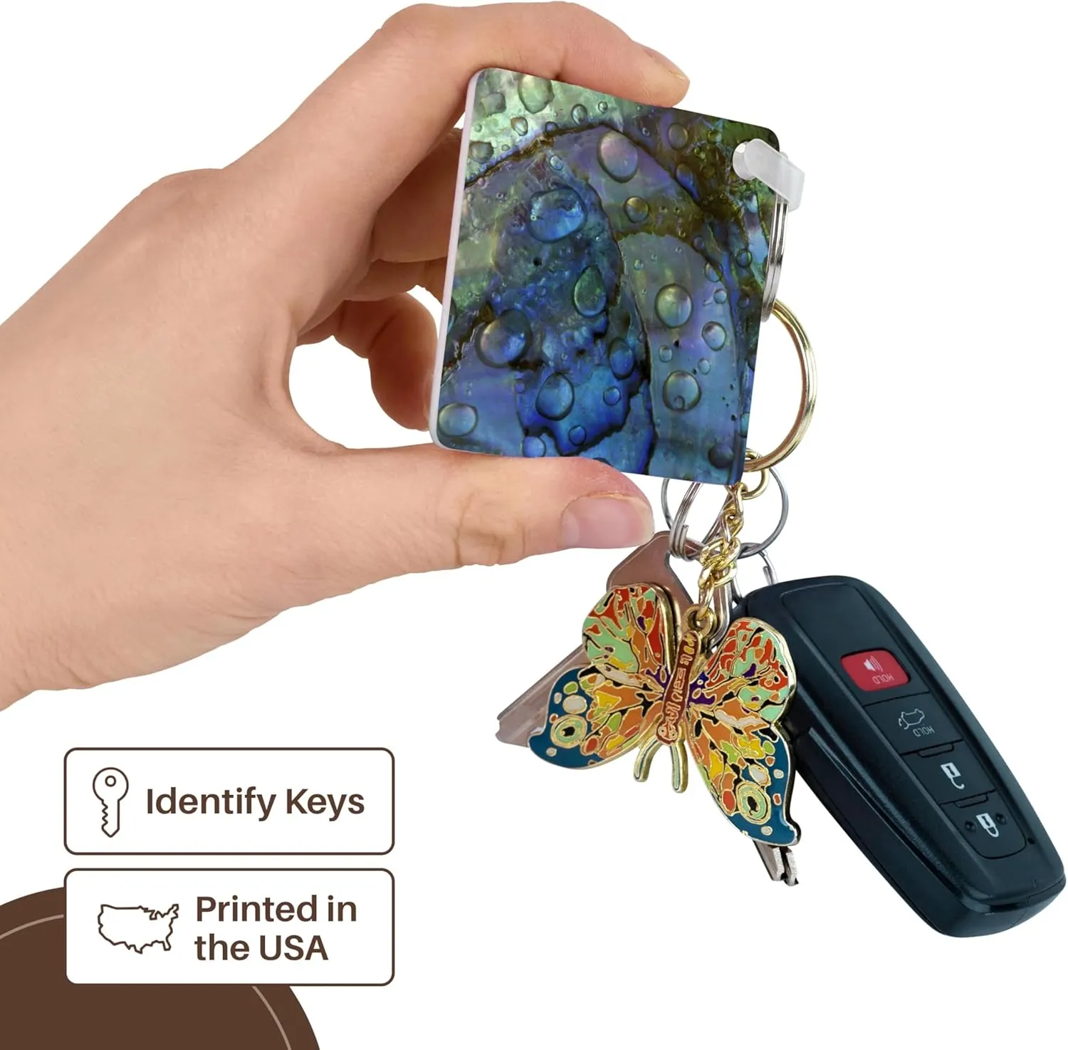 3dRose, Abalone shell with water drops, artistic abstract - NA01 BJA0030 - Jaynes Gallery, Key Chain