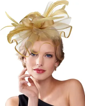 Dodheah Fascinators Hat for Women Tea Party Derby Hats Pillbox Hat Flower Feathers Wedding Headwear with Headband Hair Clip
